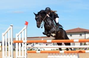 saut obstacle Machines pour manèges équestres
