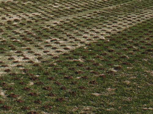 scarification golf aération incorporation